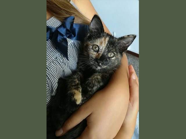 Eclisse ha trovato casa!